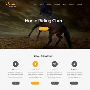 Horse Riding Design