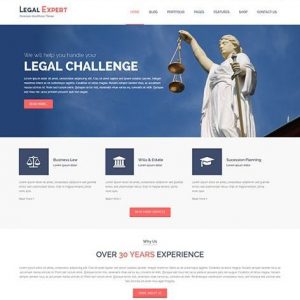 Legal Expert Design