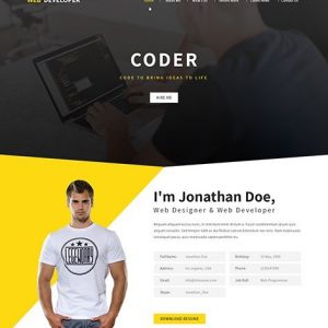 Web Programmer Design